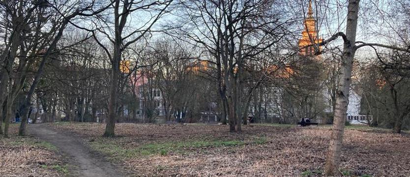 Zmieni się zakątek parku Kasprowicza. Ogłoszono przetarg na rewitalizację