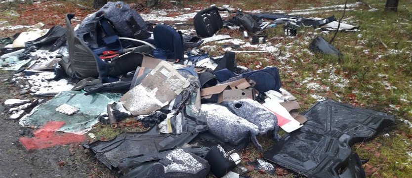 Dzikie wysypisko śmieci w lesie pod Stepnicą