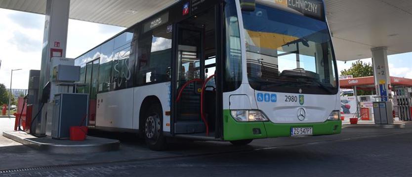 W hurcie drożej niż w detalu. Paliwo wyborcze?