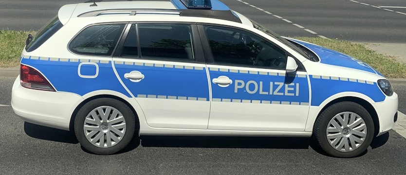 Alarm w Niemczech. Lew na wolności w pobliżu Berlina