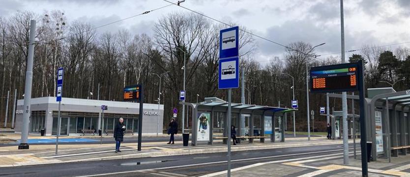 Spacer w zimowych okolicznościach przyrody