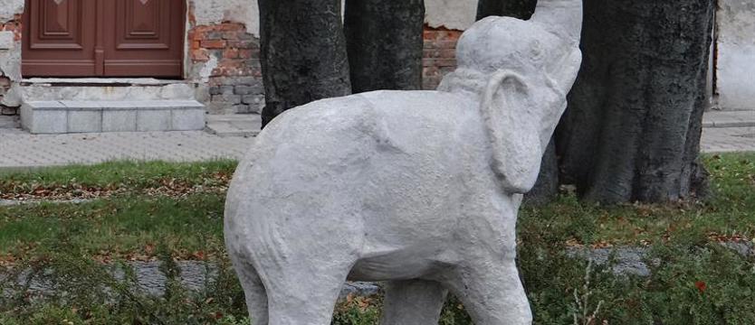 Legendziarz zaprasza do Puszczy Wkrzańskiej