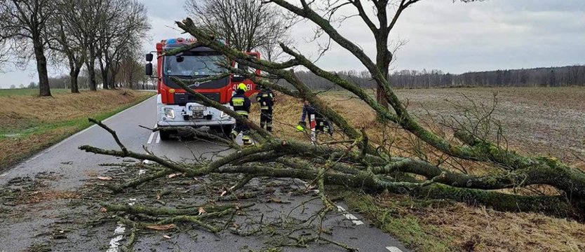 W sobotę 66 interwencji strażaków w związku z silnym wiatrem