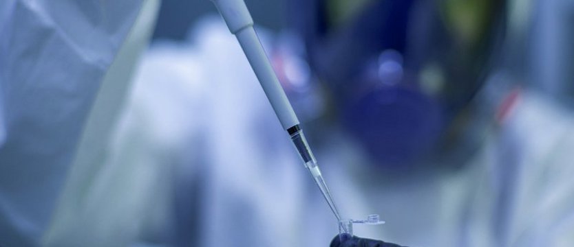 Niedzielski: Udział mutacji brytyjskiej koronawirusa w Polsce sięga blisko 40 proc.