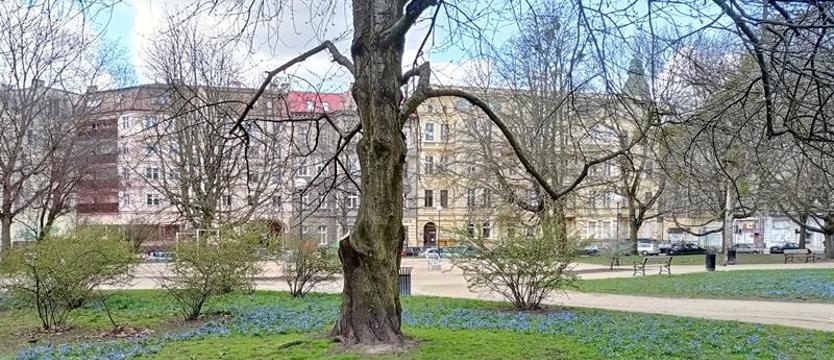 Park i chmury błękitne