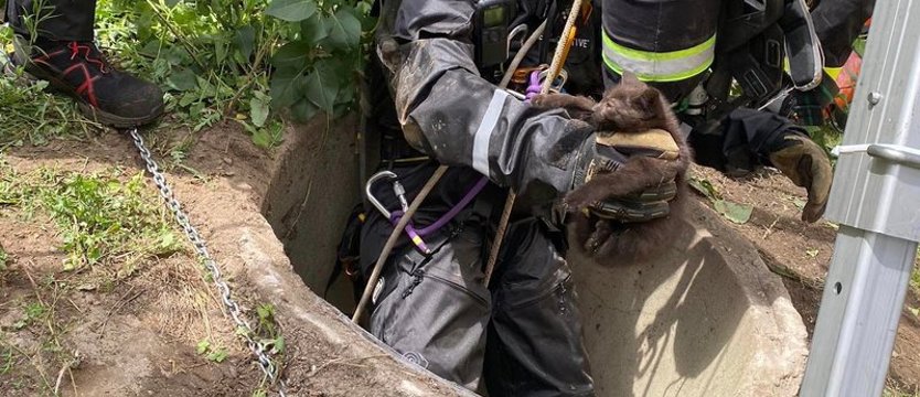 Strażacy wyciągnęli małego kota z głębokiej studni