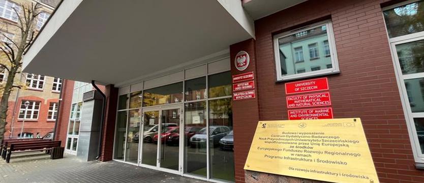 Jak wykorzystać sztuczną inteligencję. Warsztaty w sobotę