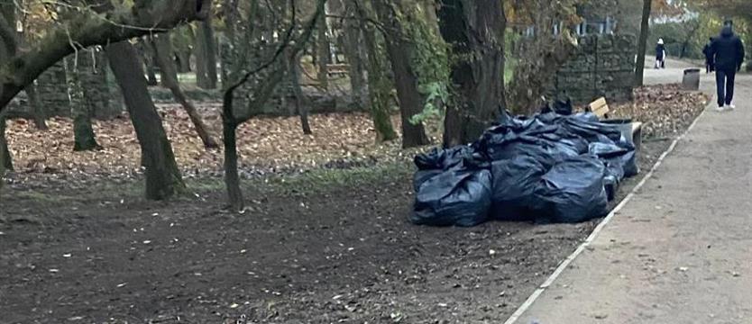 (Nie)oczywisty przypadek „Przygodnej". Wygrabili w słusznym celu?