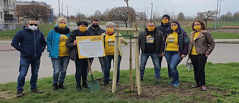 Sadzą drzewa i szukają chętnych do adopcji