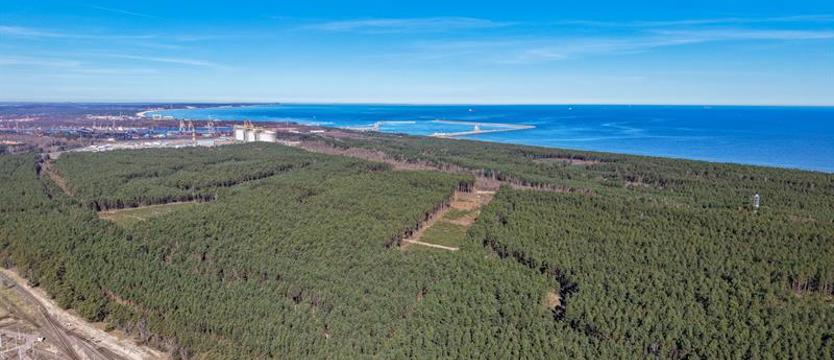 Budowa terminala zagrożona? Marchewka: Otoczka środowiskowa elementem gry Niemców