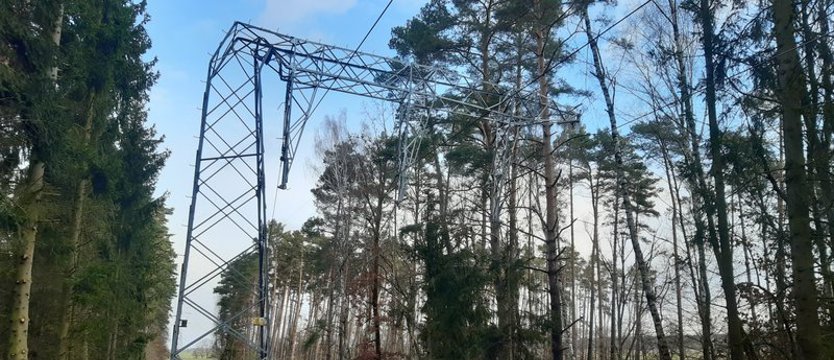 Enea Operator usuwa skutki awarii sieci po wichurze
