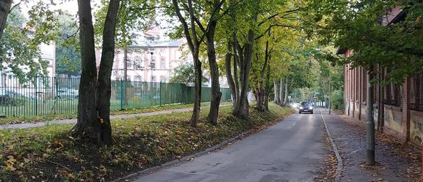 Jak zimą wycięli, tak posadzą… jesienią