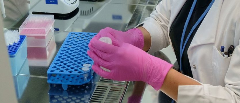 Przeszło 1100 infekcji SARS-CoV-2 w piątek w regionie. Zmarło aż 31 osób