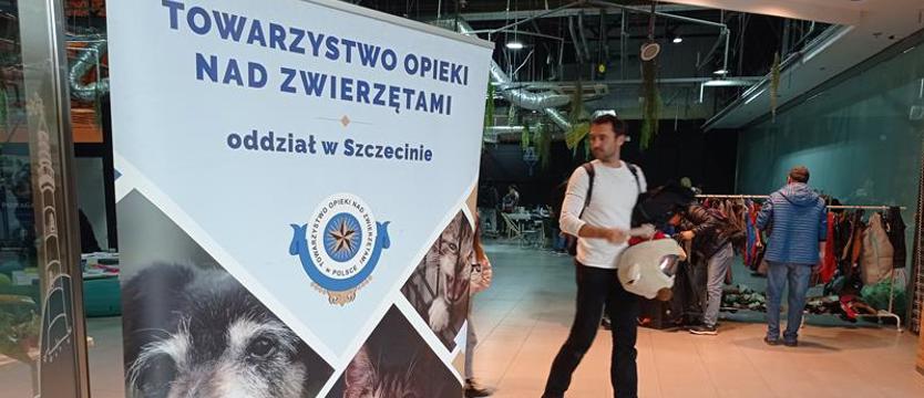 TOZiaki przed zimą. Charytatywnie w strefie ROOFA Galerii Turzyn