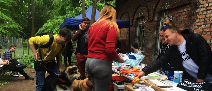 Piknik dla pomagania. Zuzia, Puszek i inni, czyli nadzieja w TOZ