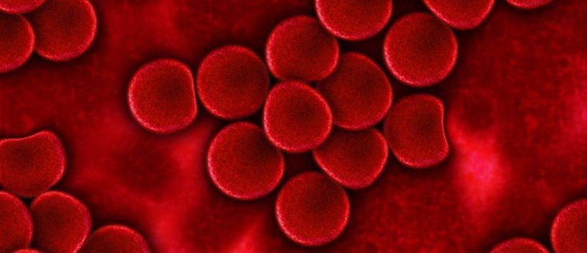 Osocze ozdrowieńców słabo pomaga ciężko chorym na COVID-19