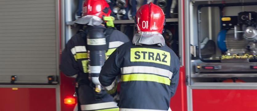Pożar na Międzyodrzu. Znów płoną trzcinowiska
