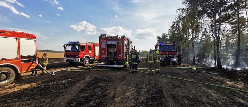 Trwa dogaszanie pożaru lasu w okolicach wsi Witnica