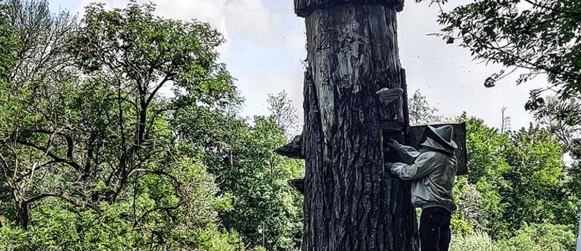 Plutonowy na straży królowej