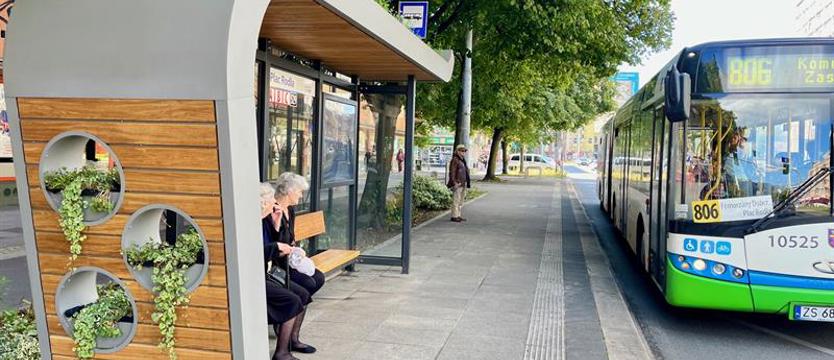 Sposób na usychające rośliny. Miasto zajmie się zielonymi wiatami