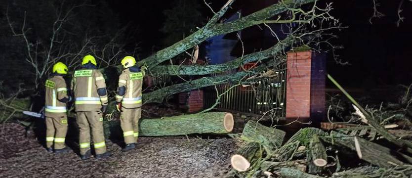 Wichura na całym Pomorzu Zachodnim. Połamane drzewa na drogach i braki prądu