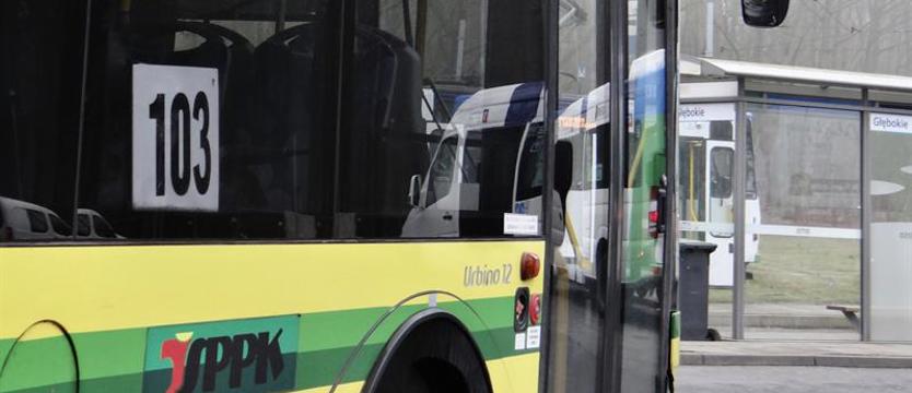 Koniec montażu wiat w Szczecinie. Autobusy i tramwaje wracają na perony