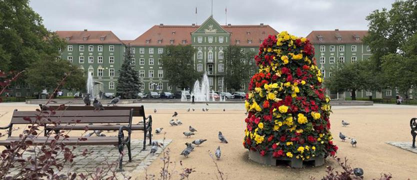 Zmian w Wydziale Kultury ciąg dalszy