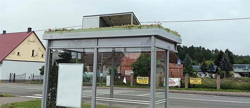 Zielone przystanki w Kobylance. Kosztowały 90 tysięcy złotych