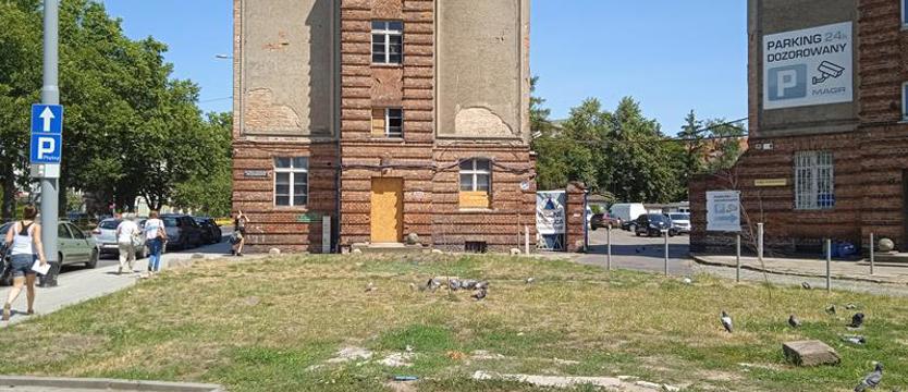 Jeszcze nie park. Cięcie środków na zieleń?