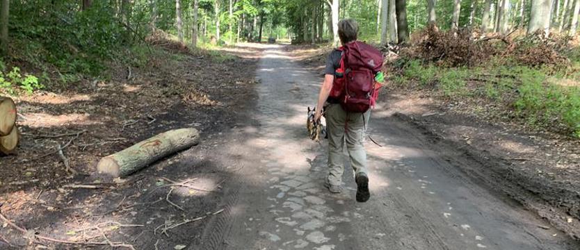 Weekend lasu. Zapisy tylko do piątku