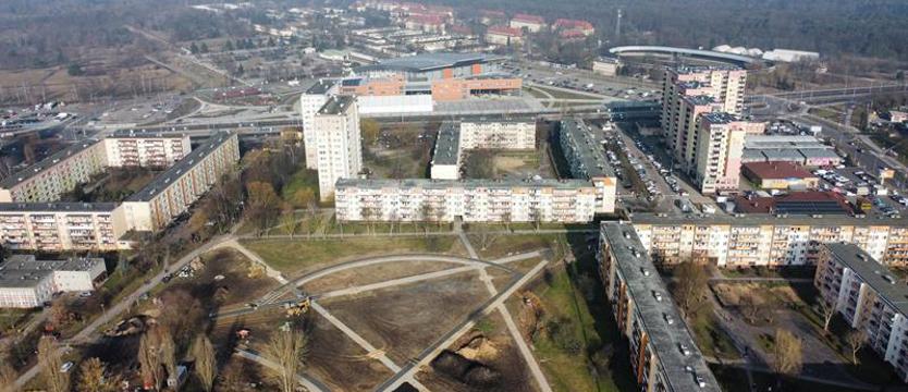 Powstaje park na psim polu. Wiosną posadzą ponad 300 drzew