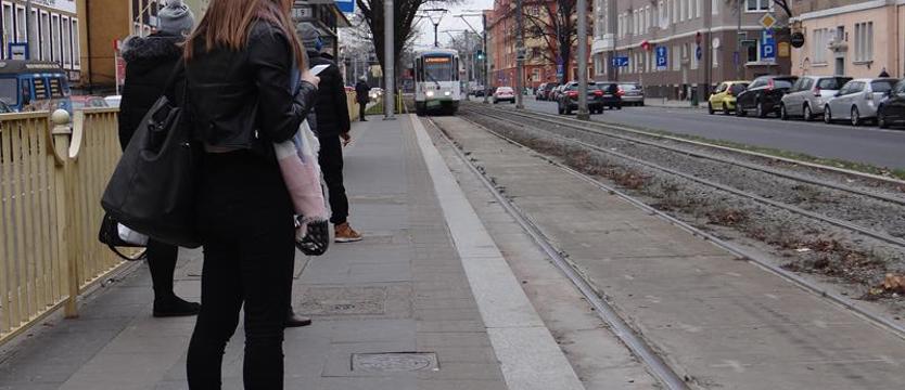 Braki wśród drzew „pływającego ogrodu”