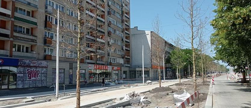 Platany specjalnej troski