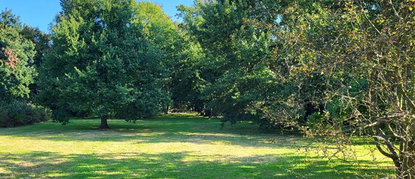 Zainwestują w park. Kołobrzeg szuka wykonawcy