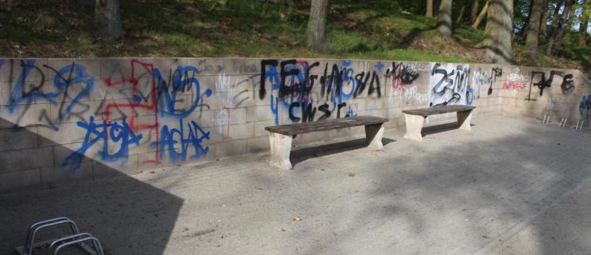 Bałagan i dewastacja w Nowogardzie. Monitoring to atrapa?