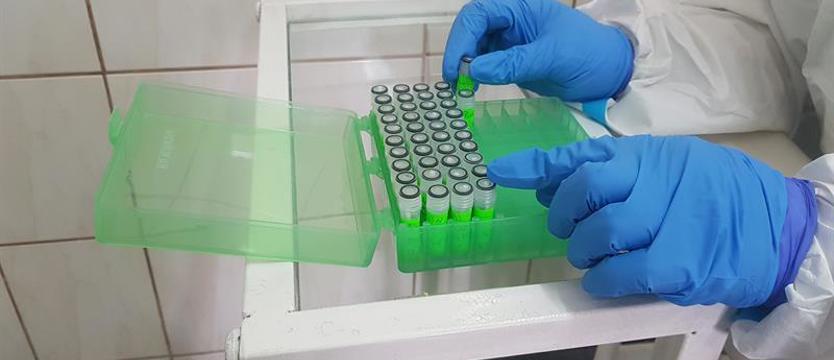 Pandemia przybiera na sile. W Zachodniopomorskiem ponad tysiąc zakażeń SARS-CoV-2