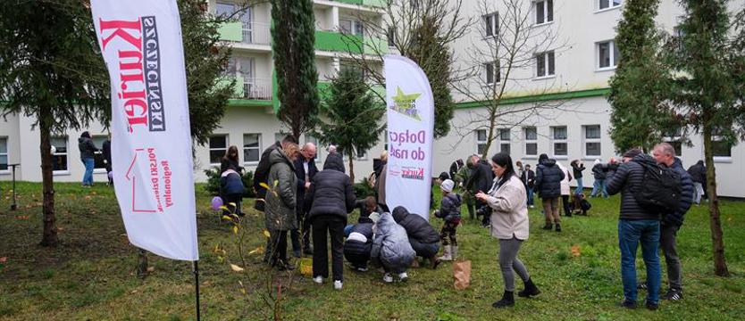 Krokusy, grochówka i deszcz. Pod znakiem pokoleniowej integracji