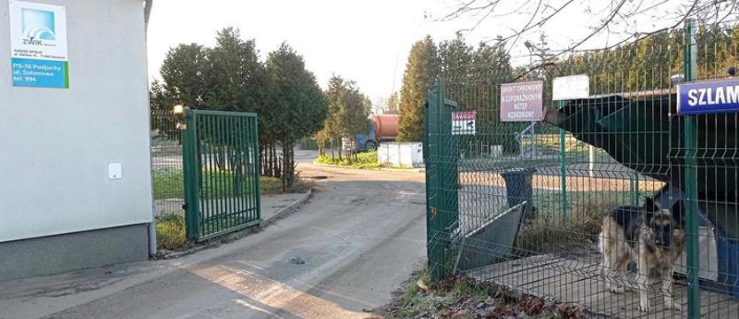 Pies na peryferiach. Reks pracuje w szczecińskich Podjuchach