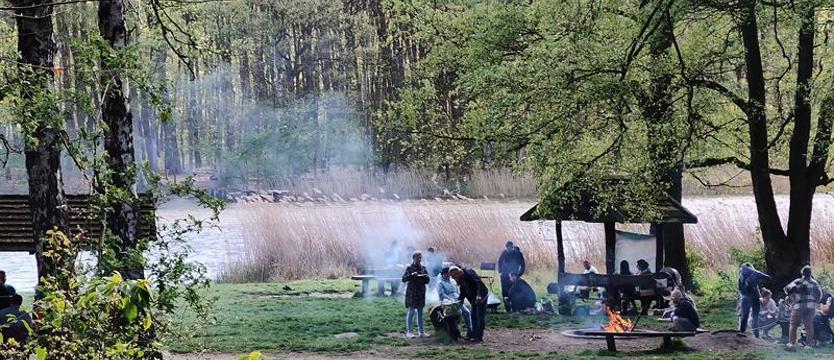 Ogień wśród drzew. Lasy miejskie: samowola, dym i pobłażanie