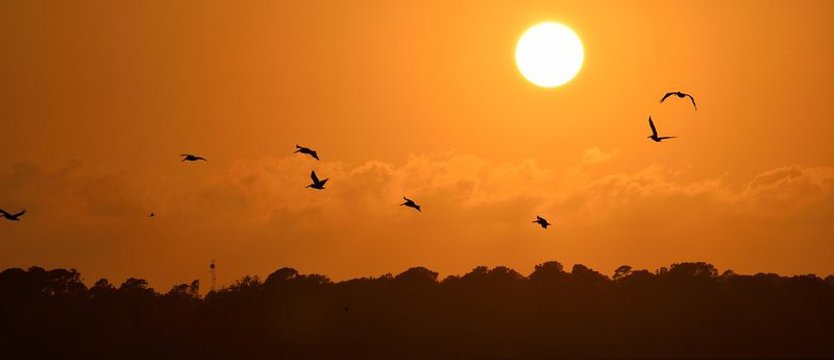 Tydzień tropikalnych nocy. Temperatura powyżej 20 st. C