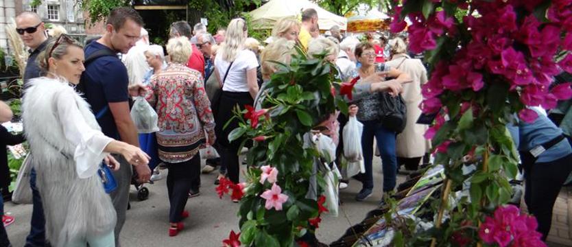 Ogród Wałów Chrobrego, czyli kiermaszowy zawrót głowy. Feeria kolorów i inne smaczki