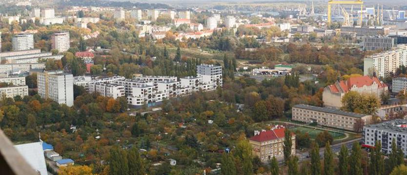 SBO – nadchodzi czas decyzji. Postawić na zielone?