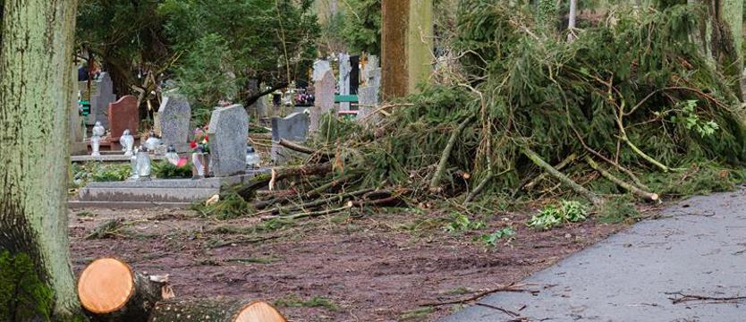 Uwaga: Cmentarz Centralny znów zamknięty dla odwiedzających
