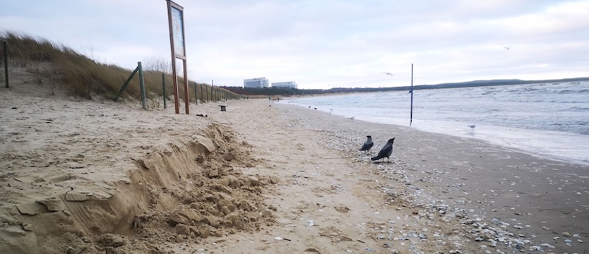 Bałtyk zalał plaże w kurortach. Trudna sytuacja na Wybrzeżu
