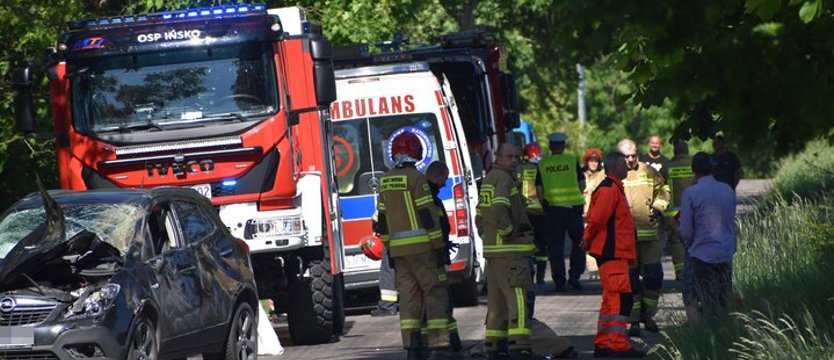 Samochód zderzył się z żubrem w gminie Ińsko. Dwie osoby poszkodowane