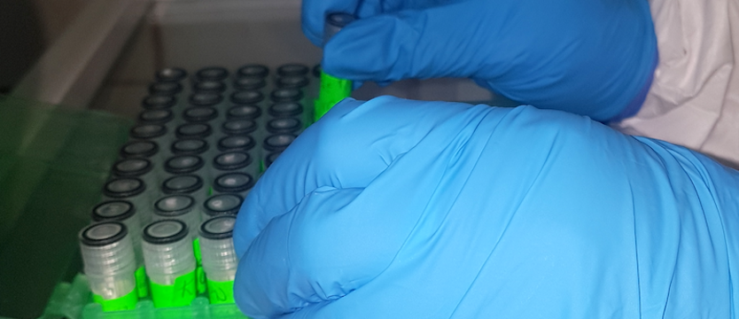 Przeszło 500 zakażeń SARS-CoV-2 w czwartek w regionie. Widać dalsze spadki epidemii