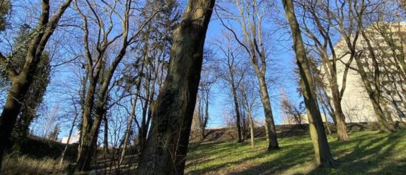 Planowana (dobra) korekta dla zieleni