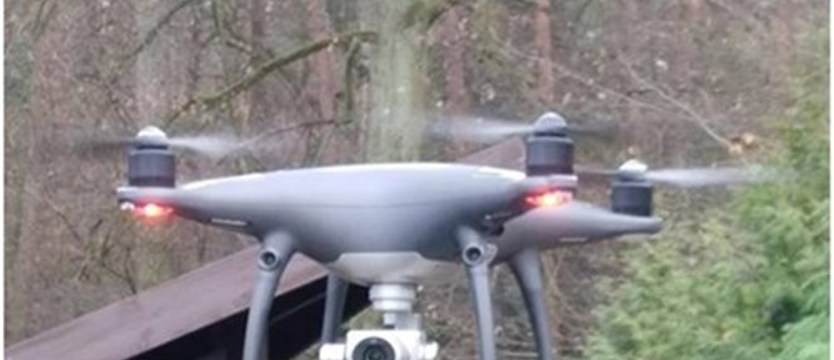 Chrońmy lasy! Leśnicy działają i apelują, zagrożenie jest bardzo wysokie