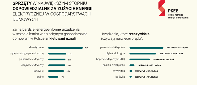 Wyniki badania IBRiS: Polakom tylko się wydaje, że wiedzą, które urządzenia w ich domu zużywają najwięcej prądu