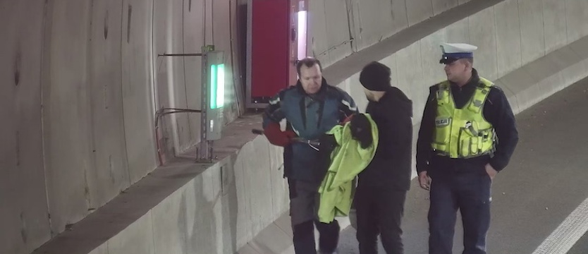 Kot w tunelu w Świnoujściu. Wdrożono specjalne procedury bezpieczeństwa